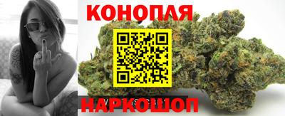 ECSTASY Камышлов