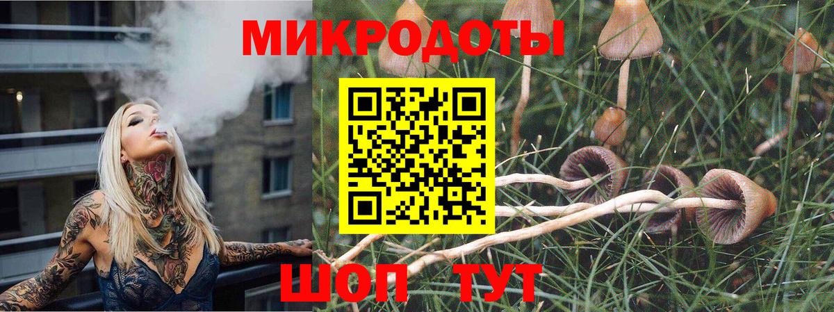 Красногорск  хочу   Вход с VPN  Галлюциногенные грибы ЛСД 